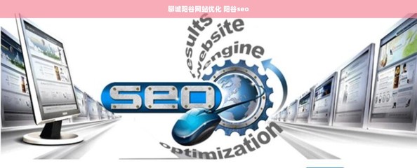 聊城陽谷網(wǎng)站優(yōu)化、SEO與計算機軟件開發(fā)銷售一體化服務(wù)解析