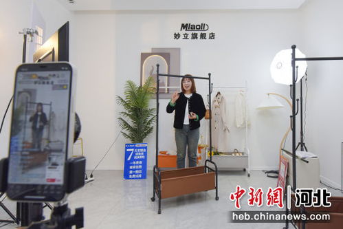 河北廣陽電商平臺深融實體家居，市場活力加快釋放